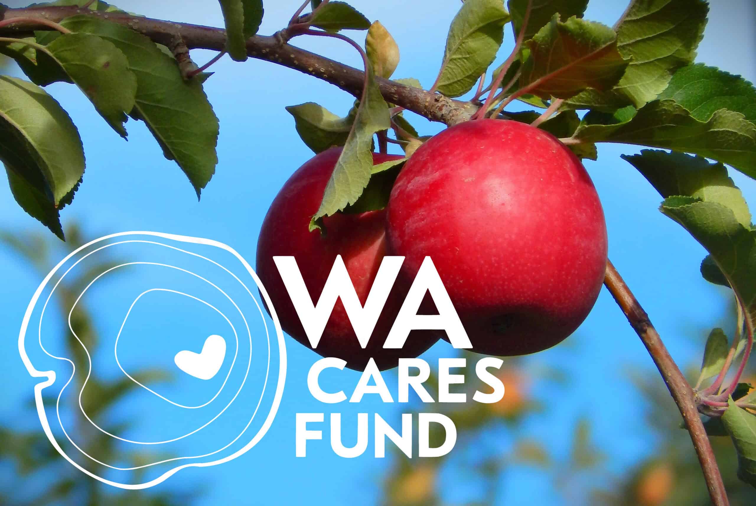 WA CARES Fund_Apple